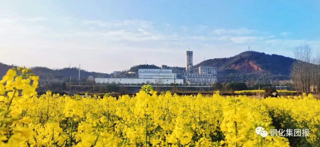 中国·永利yl23455(集团)有限公司-官方网站